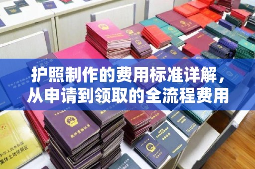 新密护照制作的费用标准详解，从申请到领取的全流程费用指南