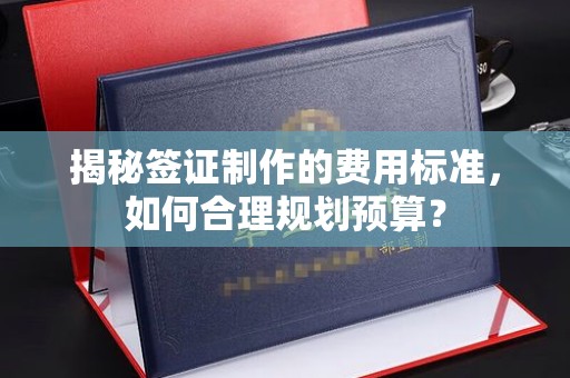 新密揭秘签证制作的费用标准，如何合理规划预算？