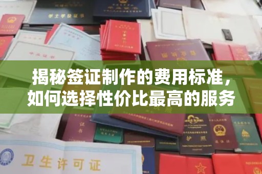 新密揭秘签证制作的费用标准，如何选择性价比最高的服务？